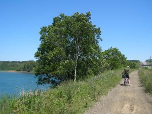 Our bike trip in the Annapolis Valley. The book I had with me was The Translation of Love by Lynne Kutsukake.